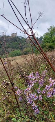 Tages-Fußwallfahrt nach Maria Trens, Sterzing
