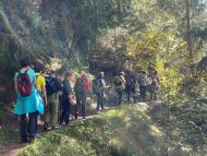 Pilgertag mit kfbö von Sterzing nach Maria Trens