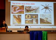 Diözesanvollversammlung 15. März 2025