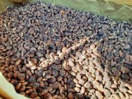 Einfach sein - Wallfahrt nach Altrei