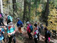 Tages-Fußwallfahrt - "Frauwaal" nach Lichtenberg