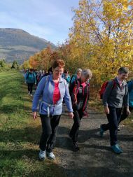 Tages-Fußwallfahrt - "Frauwaal" nach Lichtenberg