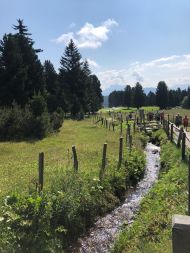 Sternwallfahrt Latzfonser Kreuz
