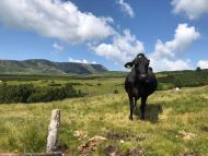 Sternwallfahrt Latzfonser Kreuz