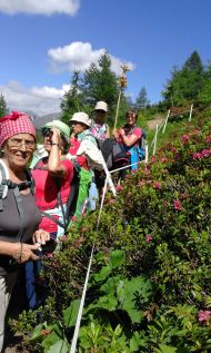 "Du führst mich hinaus ins Weite" - Fußwallfahrt Juni 2018