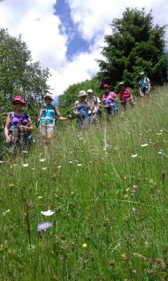 "Du führst mich hinaus ins Weite" - Fußwallfahrt Juni 2018