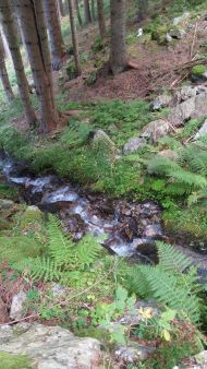 Fußwallfahrt Sarntal September