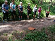 Sternwallfahrt Ehrenburg