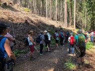 Sternwallfahrt Ehrenburg