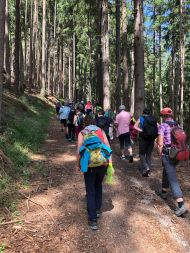 Sternwallfahrt Ehrenburg