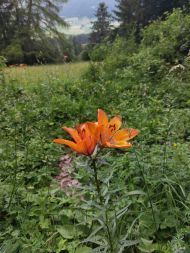 Fußwallfahrt Pustertal Juni