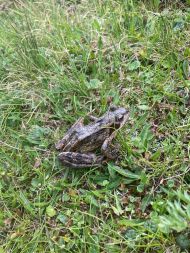 Fußwallfahrt Pustertal Juni