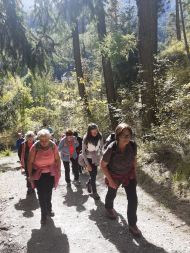 Tages-Fußwallfahrt - "Frauwaal" nach Lichtenberg