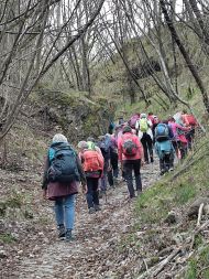 Tages-Fußwallfahrt von Laag nach Bucholz