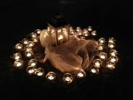 Lichter für den Frieden