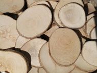 Lebenringe - Jahresringe als Symbol für die Wallfahrt