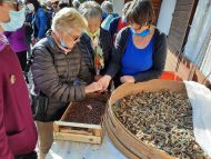 Einfach sein - Wallfahrt nach Altrei