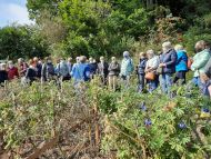 Einfach sein - Wallfahrt nach Altrei