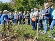 Einfach sein - Wallfahrt nach Altrei