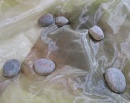 Die Kinder sind im Licht