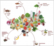 Alles hängt eng zusammen!
