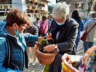 Einfach sein - Wallfahrt nach Altrei