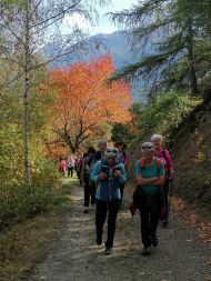 Tages-Fußwallfahrt - "Frauwaal" nach Lichtenberg