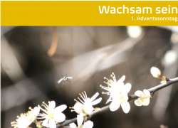 Wachsam sein - Gedanke zum 1. Adventsonntag