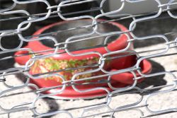 Foto: Annelies Hitthaler