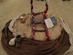 Mitte Frauenliturgie in Neustift