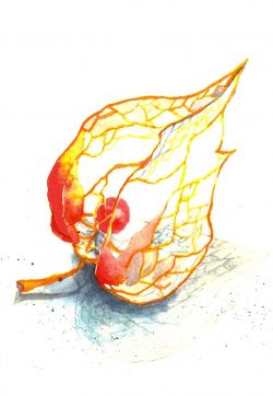 Abschied bedeutet leben 